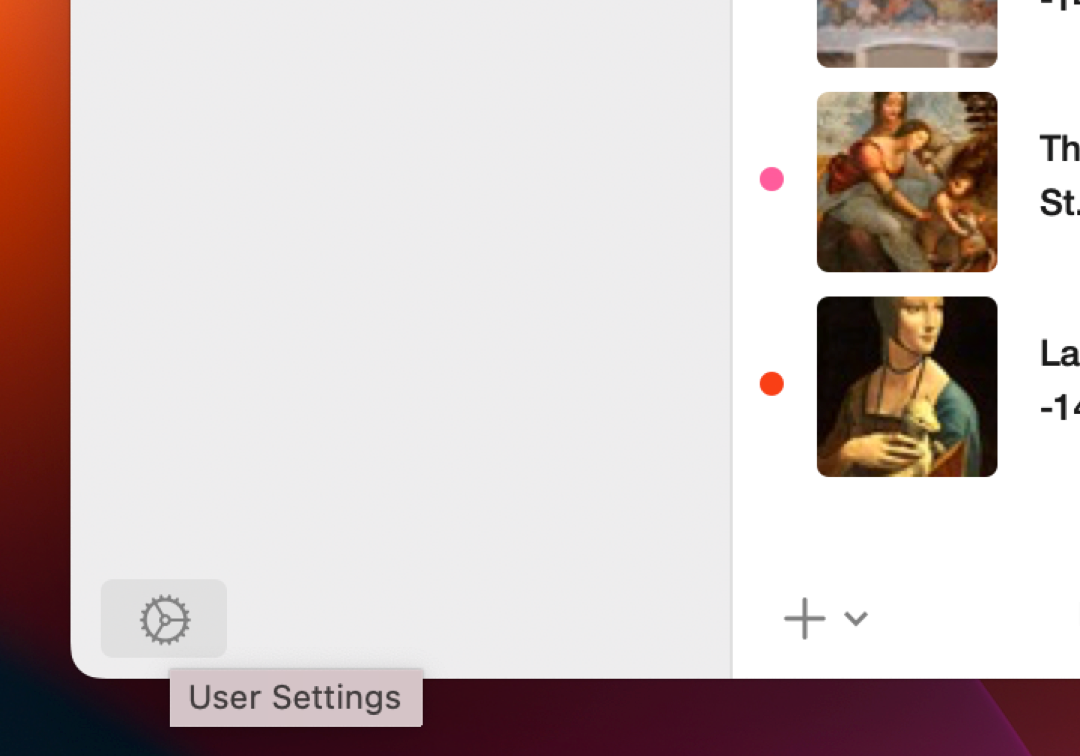 user settings - button
