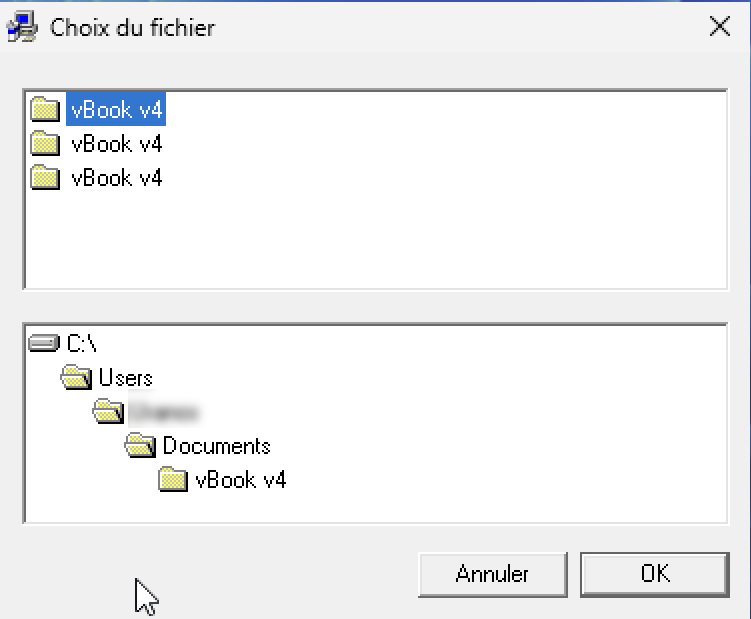 2 installer-win