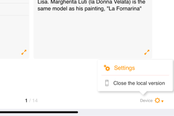 vCollection - iPad - Settings Button