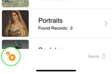vCollection - iPhone - Settings Button